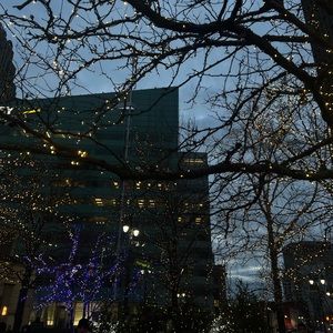 Meet your Posher, Lexi